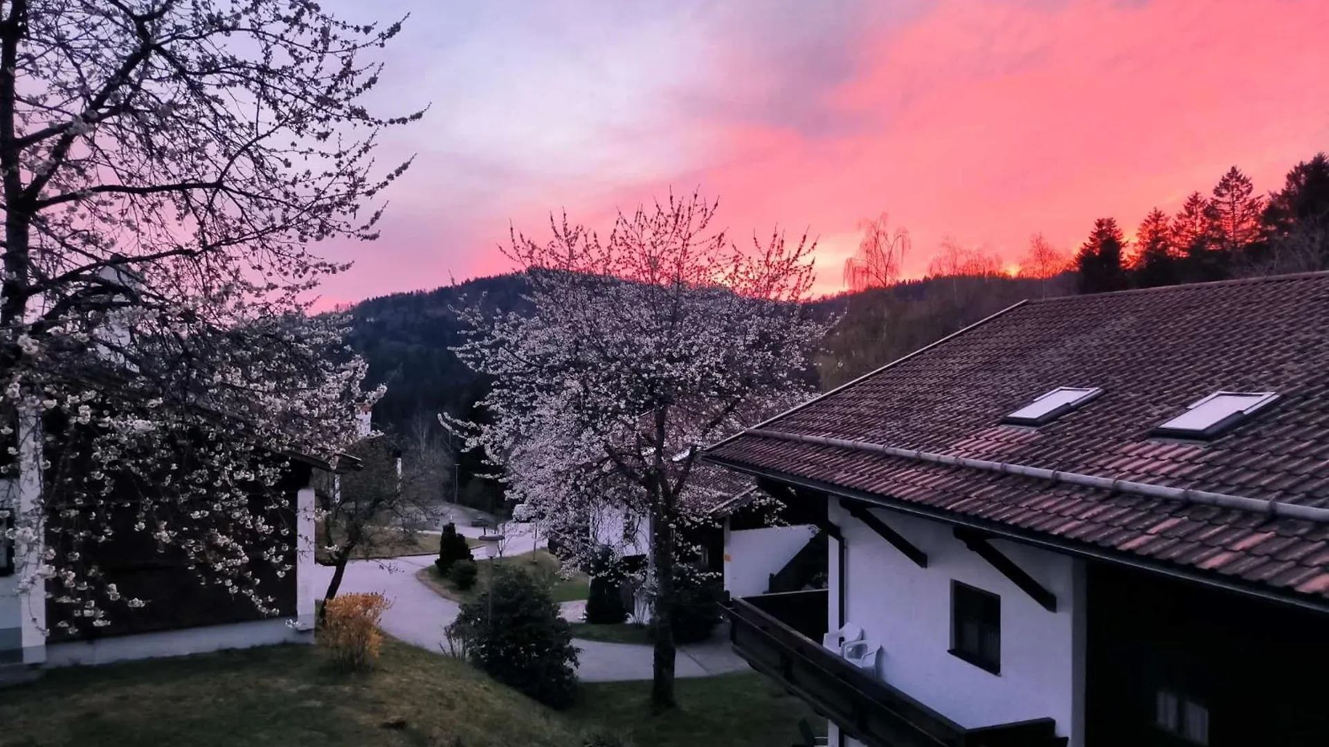 Dreilaendereck Mit Sauna Und Pool, Wohnung 403 Hauzenberg Tyskland